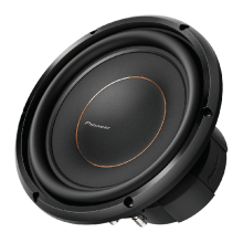 Pioneer TS-D10D2