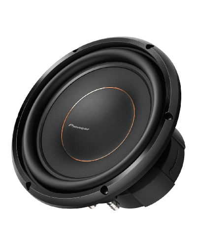 Pioneer TS-D10D2