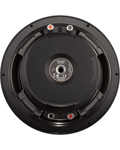 Pioneer TS-D10D2