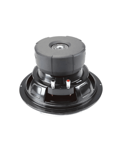 Pioneer TS-D10D2