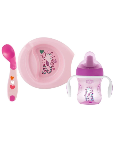 Qab-qacaq dəsti Chicco 00016200110000