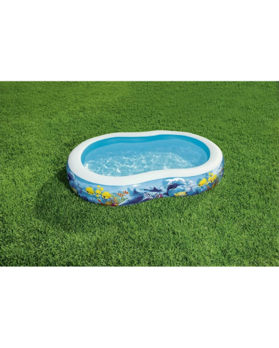 Hovuz Bestway 54118