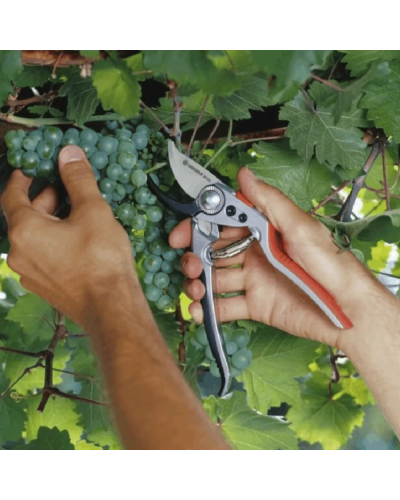 Bağ qayçısı Gardena 8702