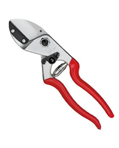 Bağ qayçısı Performans FELCO 31