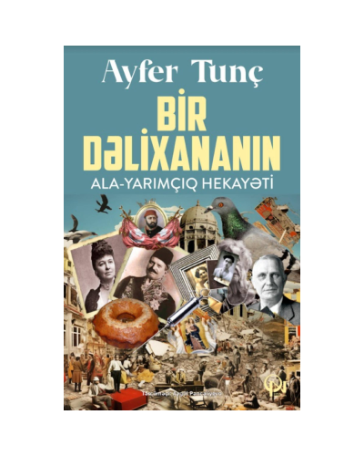 Kitab "Bir dəlixananın ala - yarımçıq hekayəti"