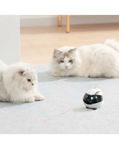 Kamera EBO Air Pet Robot Camera