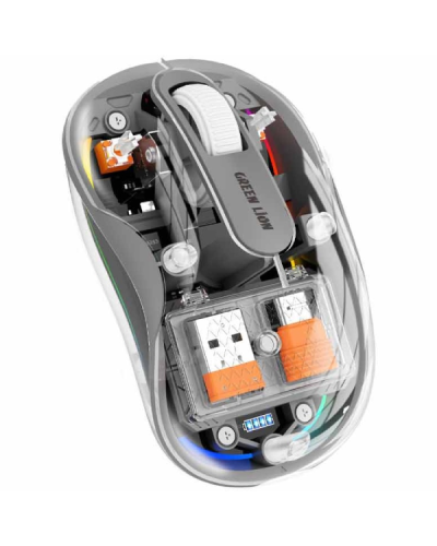 Mouse Green Lion Transparent Turtle Gray GNTUMS2MSEGY