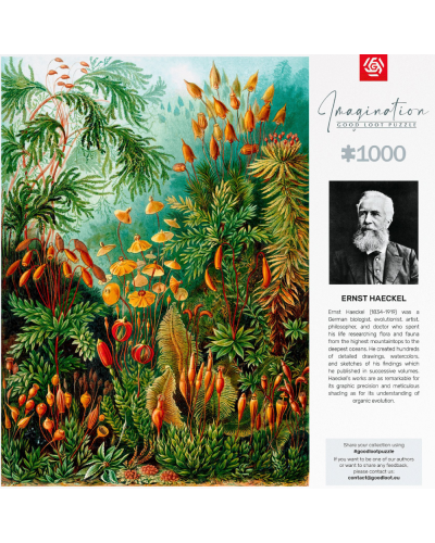 Pazl Good Loot Imagination Ernst Haeckel Muscinae 1000 5908305239642