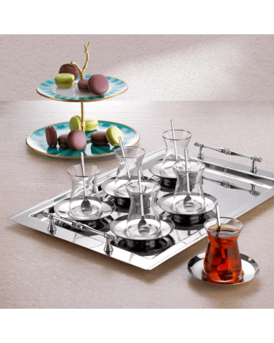 Çay üçün fincan dəsti Schafer Karla Çelik 19 parça 8699131858905 (Gümüşü)