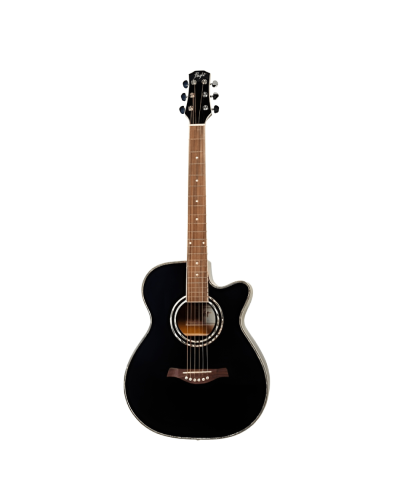 Akustik gitara Flight  F-230C BK