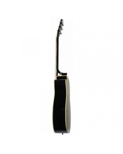 Akustik gitara Flight  F-230C BK