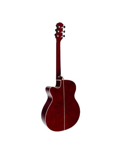 Akustik gitara Flight  F-230C WR