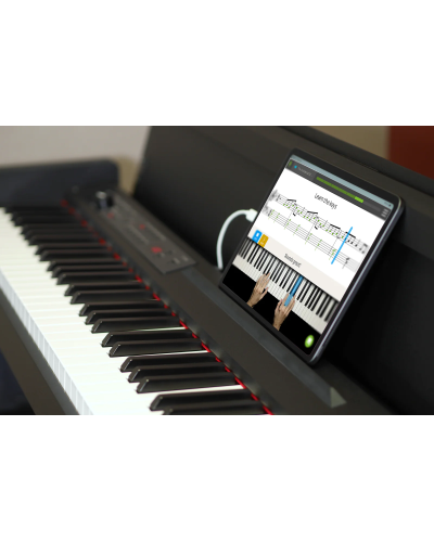 Piano Korg LP-380U RWBK