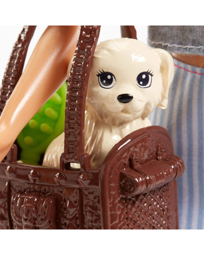 Kukla Barbie BRB DL/PET 887961615418