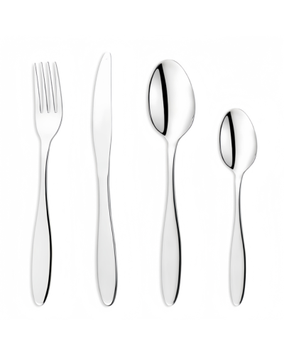 Çəngəl qaşıq bıçaq dəsti Schafer Sheen Cutlery 24 parça 8699131821411