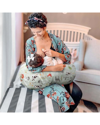 Əmizdirmə yastığı Chicco Bobby 8058664176618