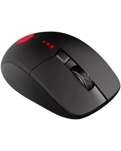 Mouse Canyon Crusader GMW-13 RGB Wireless Black