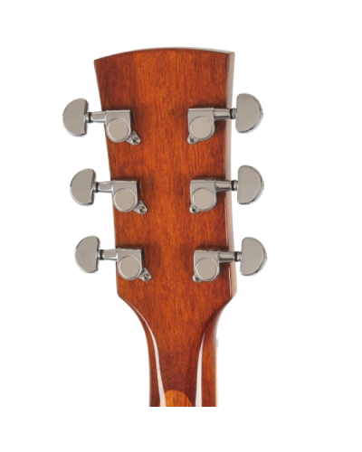 Akustik gitara Ibanez PF15-NT