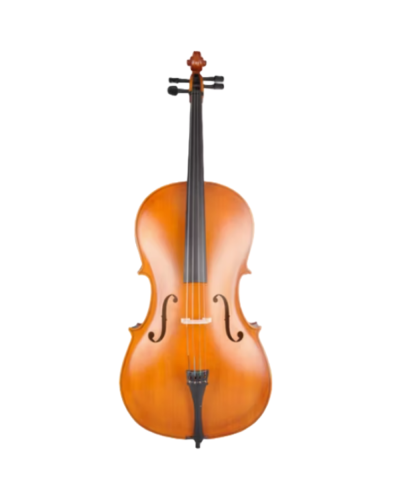 Violonçel Amati CG001-HPM Cello