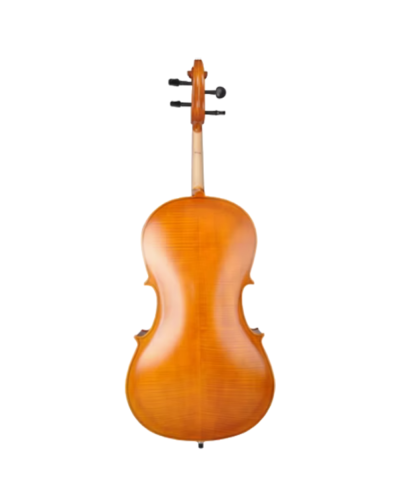 Violonçel Amati CG001-HPM Cello