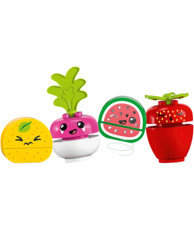 LEGO Duplo My First Organic Market 10983 / 5702017416977