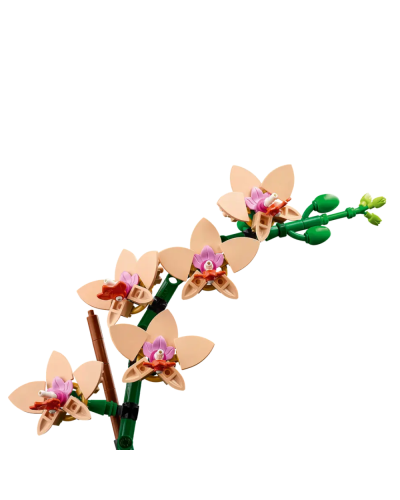 LEGO Constructor Botanicals Mini Orchid 10343 / 5702017814643