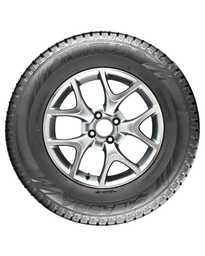 Lassa Wintus 2 121/120R 225/75R16C (001.LS.245992)