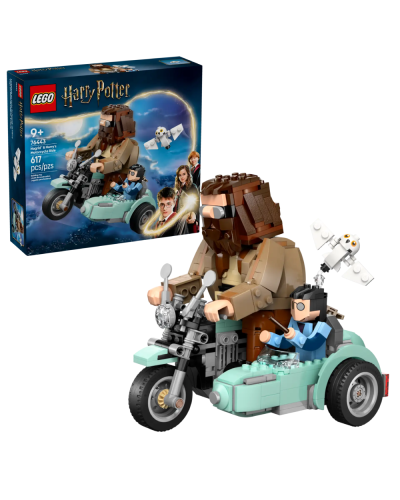 LEGO Harry Potter Hagrid and Harry's Motorcycle Ride 76443 / 5702017812816