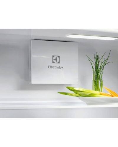 Soyuducu Electrolux ERD6DE18S1