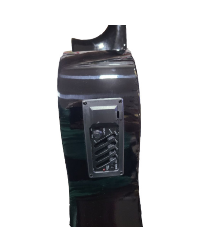 Winzz AC851CE BK Electro Classic