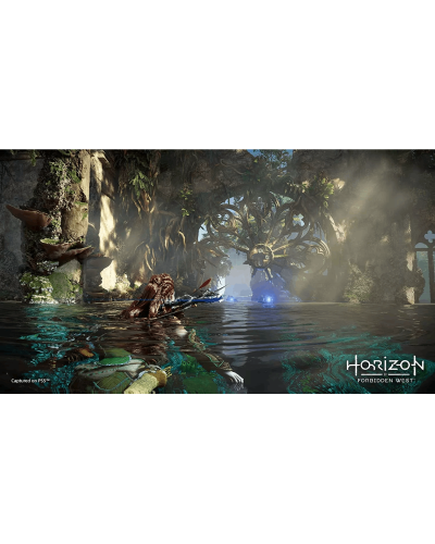 Disk РlayStation 5 (Horizon Forbidden West)