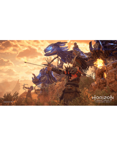 Disk РlayStation 5 (Horizon Forbidden West)
