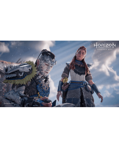 Disk РlayStation 5 (Horizon Forbidden West)