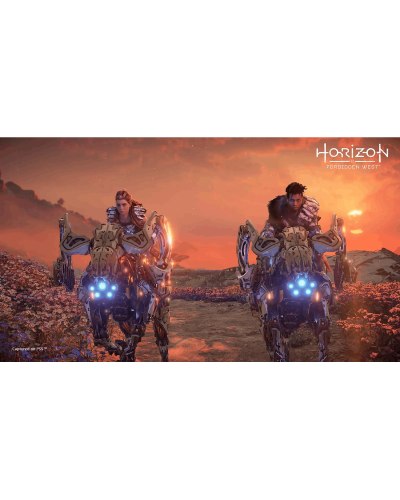 Disk РlayStation 5 (Horizon Forbidden West)