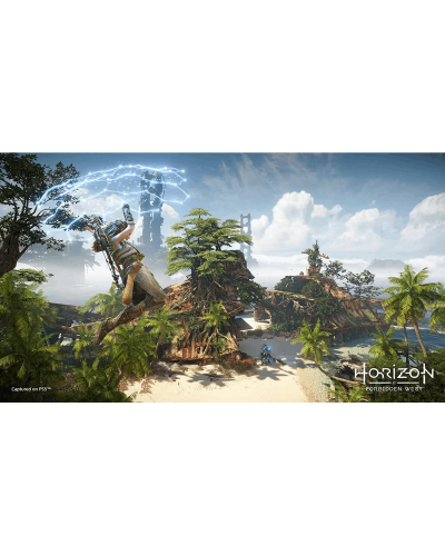 Disk РlayStation 5 (Horizon Forbidden West)