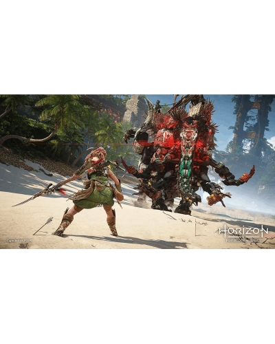 Disk РlayStation 5 (Horizon Forbidden West)