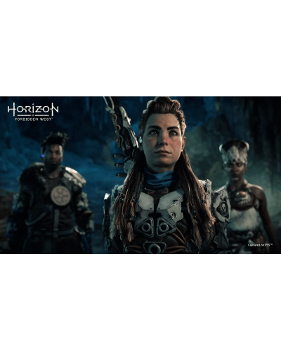 Disk РlayStation 5 (Horizon Forbidden West)