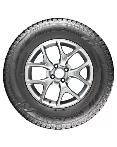 Lassa Wintus 2 116/114R 215/75R16C (001.LS.245991)