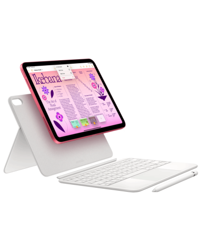 iPad 10.9-inch (10 Gen) Wi-Fi + Cellular 64 GB Silver