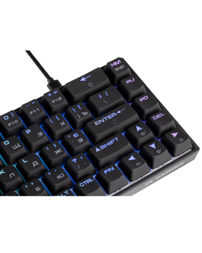 Gaming Keyboard  2E KG370 RGB 68 Key Gateron Blue Switch Black