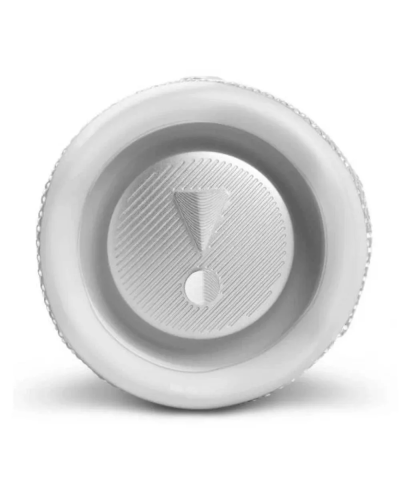 JBL Flip 6 White