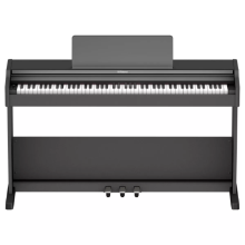 Roland RP107BKX
