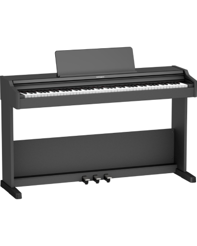 Roland RP107BKX