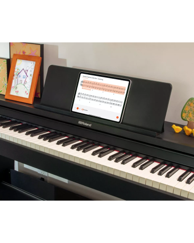 Roland RP107BKX