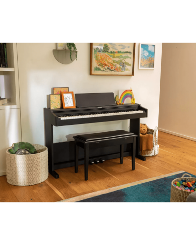 Roland RP107BKX