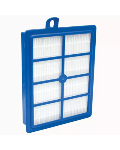 Tozsoran üçün filtr Electrolux EFS1W