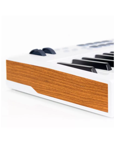 Arturia KeyLab Essential 88