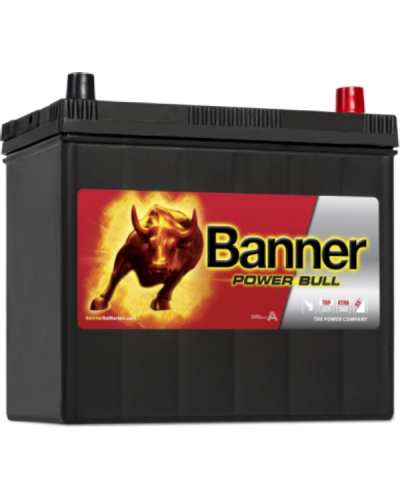 Banner Power Bull  45AH P4523