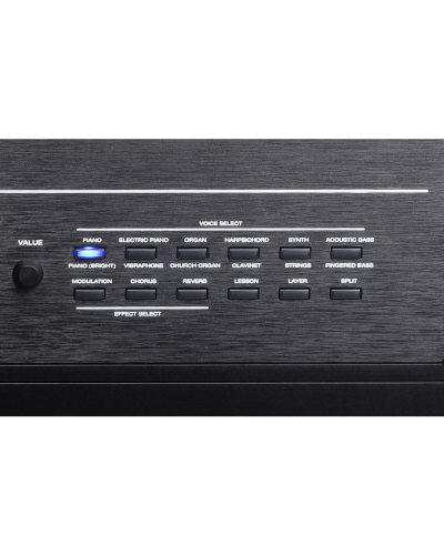 Alesis Recital Pro
