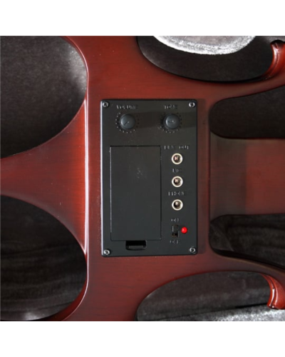 Skripka Soundstation E-Master
